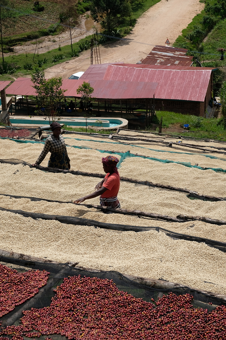 Rwanda Busanze