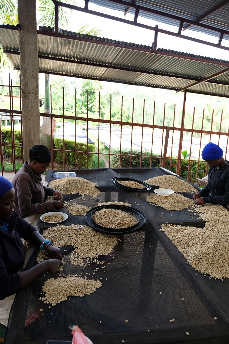 Rwanda Busanze