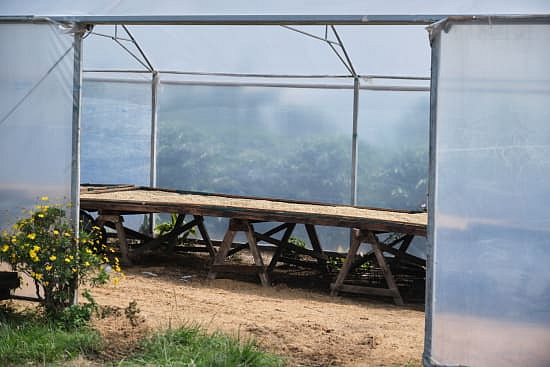 Kostarika Finca La Alquimia