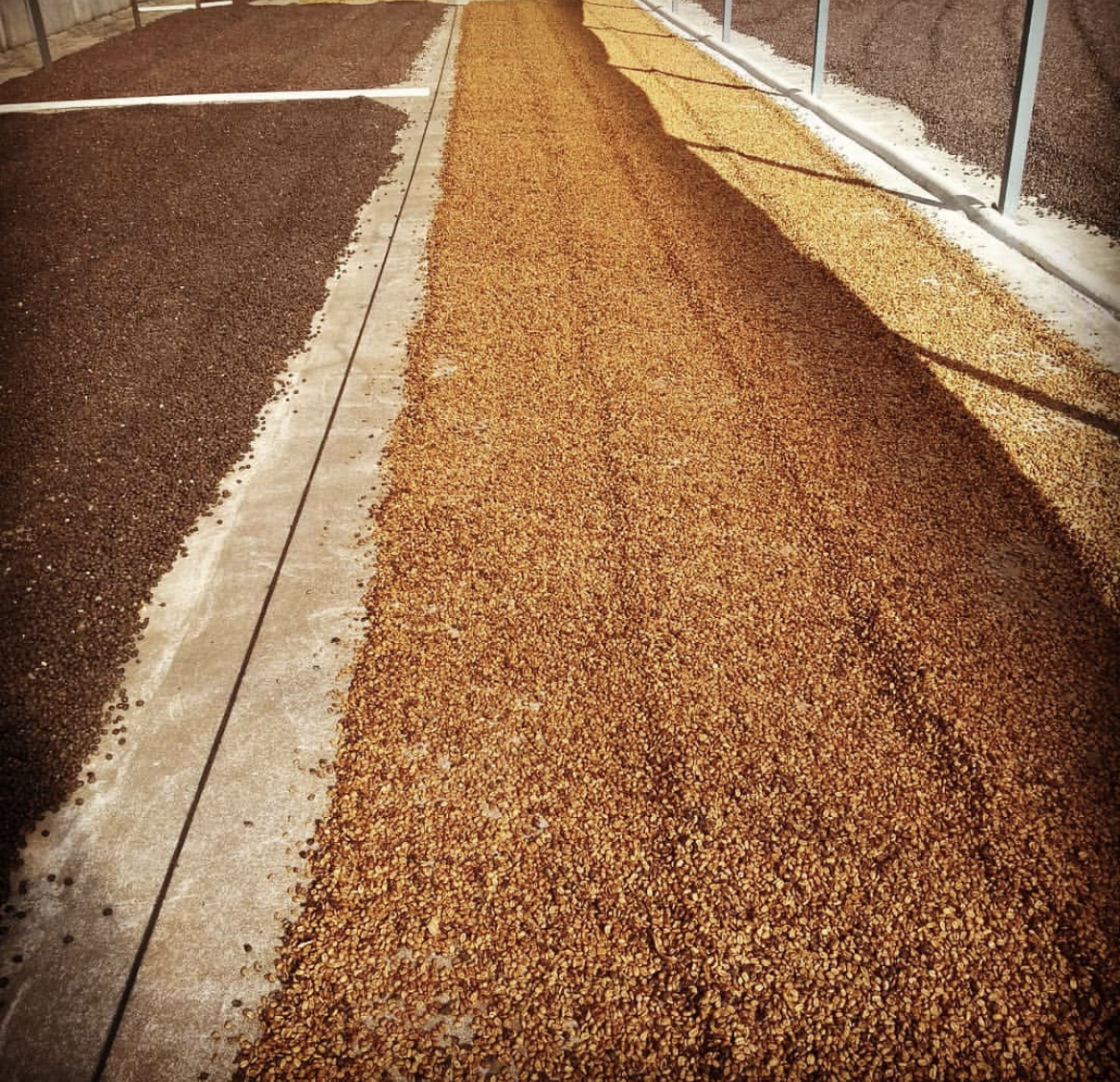 Brazílie Sítio Tarumã