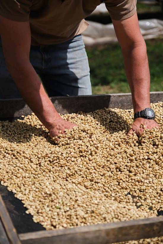 Kostarika Finca La Alquimia
