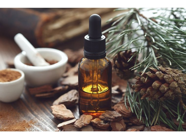 Posvátné byliny a stromy – harmonizovaný anti-aging nápoj dlouhověkosti