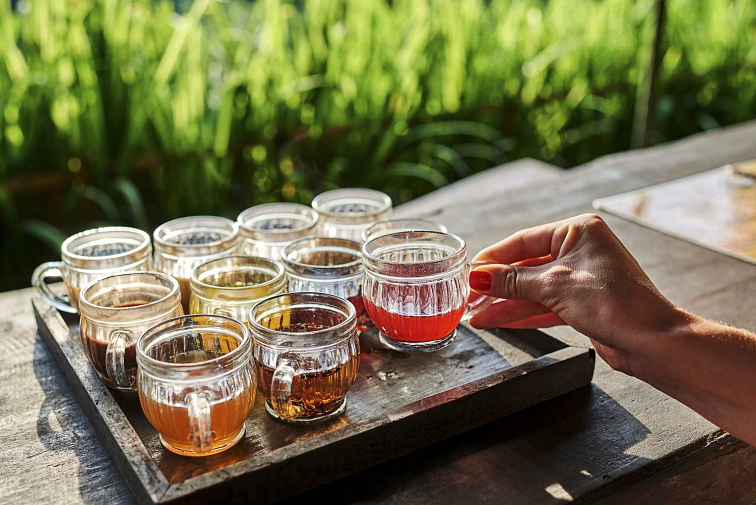 Degustace Cold brew a BIO čajů z Levandulového údolí