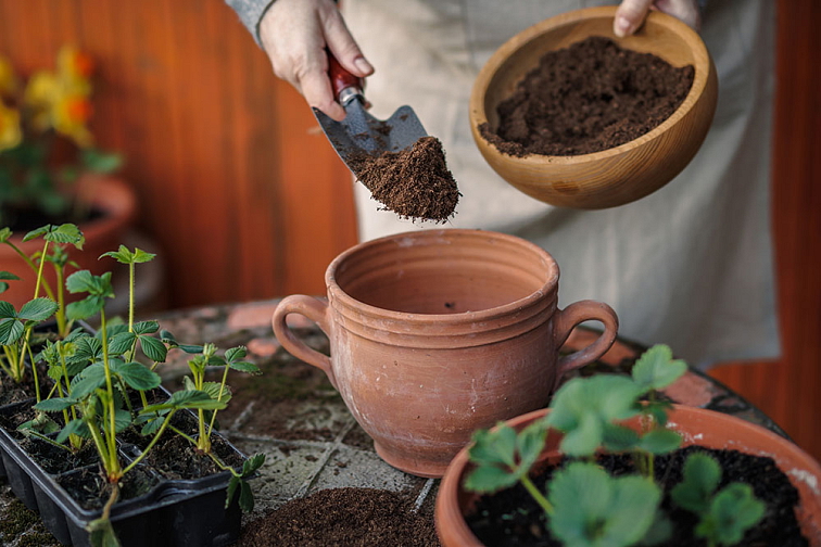 BIO minerální zemina z Barrandien geoparku