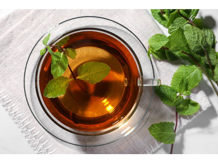 BIO Máta peprná – Mentha piperita, SAZENICE