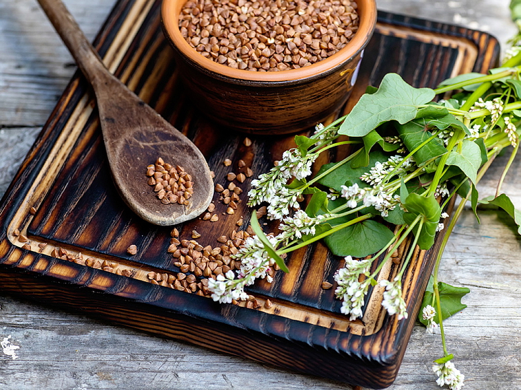 BIO Pestrecová pasta s pohánkou a Levandulí Chodouňskou