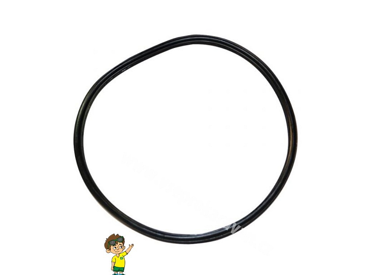 Těsnění o-kroužek odpadní nádrže C250 / C260 / C400 / C500 Thetford