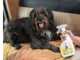 Biodor sprej, odstraňovač zvířecích pachů