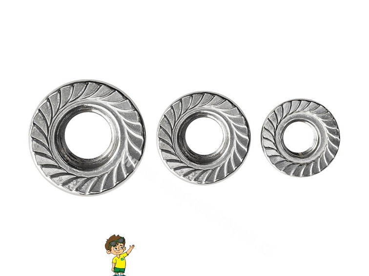 Matice ozubená DIN 6923, A2, INOX