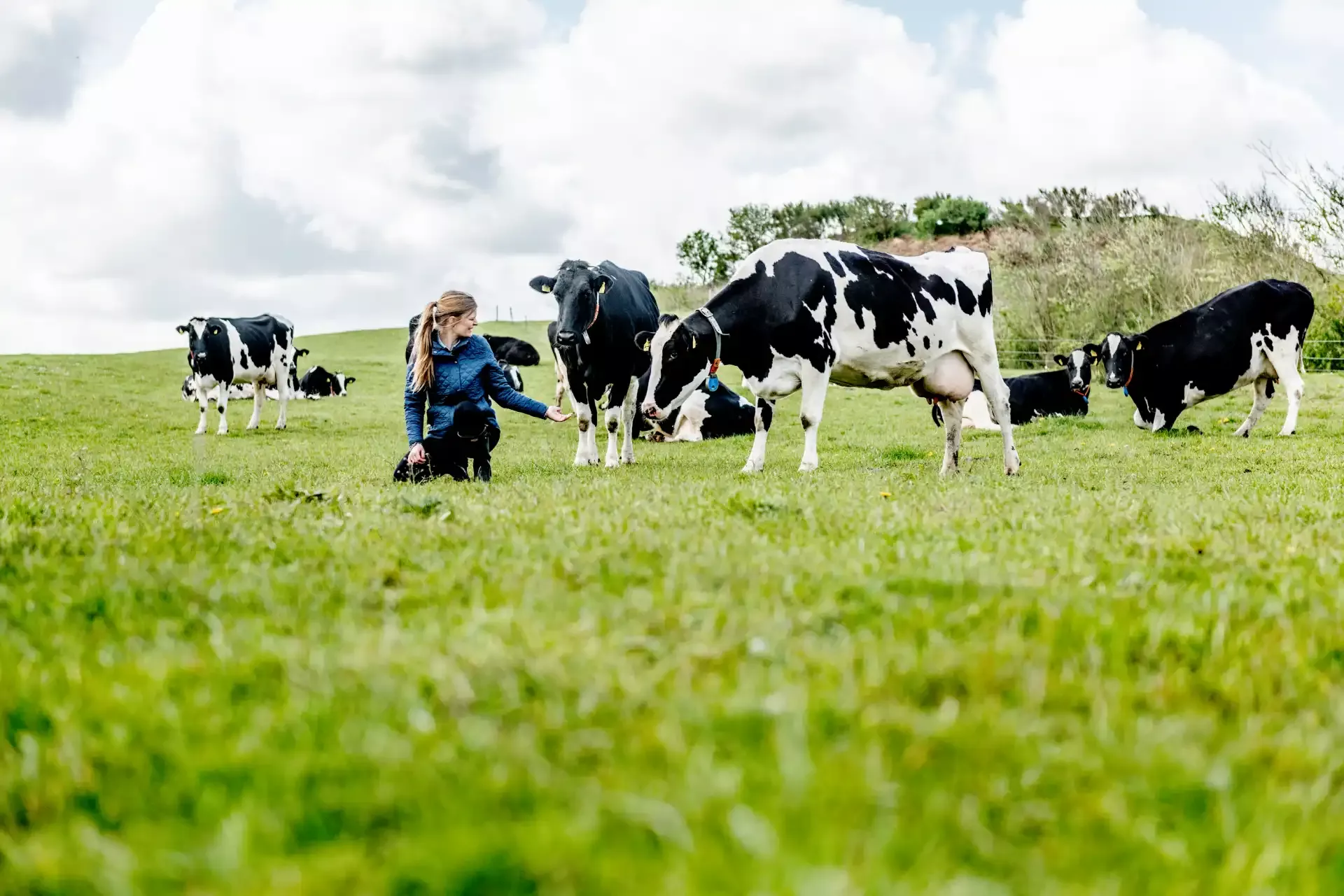 Dark Milk Madagascar Sambirano 60%