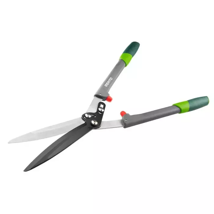 Tamaryšek na zahradě – jak tamaryšky správně pěstovat a prořezávat?