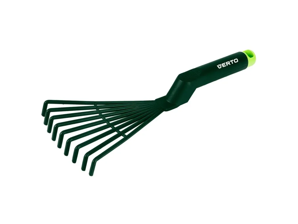 Avokádo ze semene: Výsadba a péče