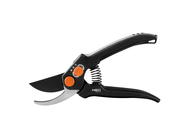 Každoroční řez švestek – jak a kdy bychom měli o stromy pečovat?