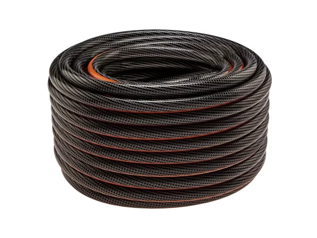 Canna v květináči a zahradě - jak pěstovat canna?