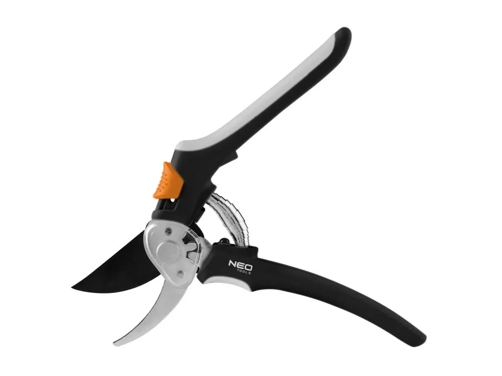 Přehled: nejvhodnější půda a stanoviště pro bobulové keře