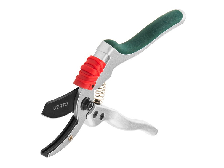 Kdy je nejlepší prořezávat růže?