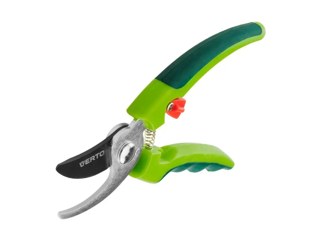 Kdy je nejlepší prořezávat růže?