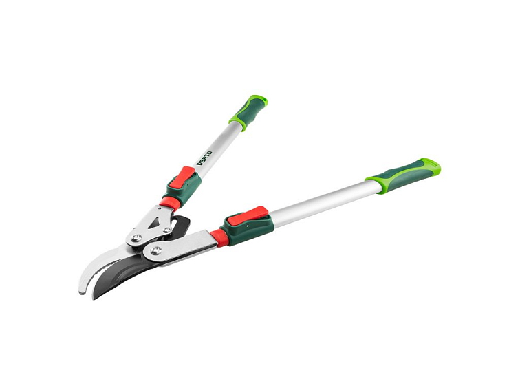 Každoroční řez švestek – jak a kdy bychom měli o stromy pečovat?