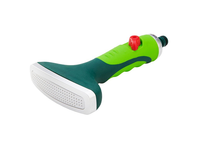 Hvězdnice čínská - odrůdy, požadavky, péče