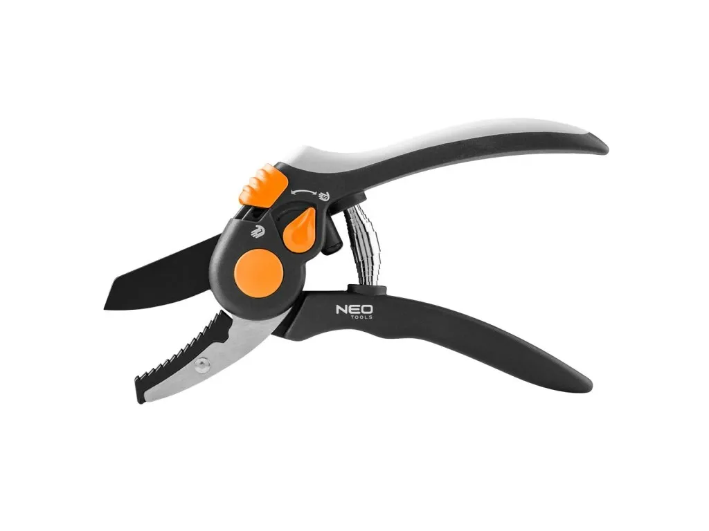 Jak chránit hortenzie na zimu? Průvodce pro začátečníky