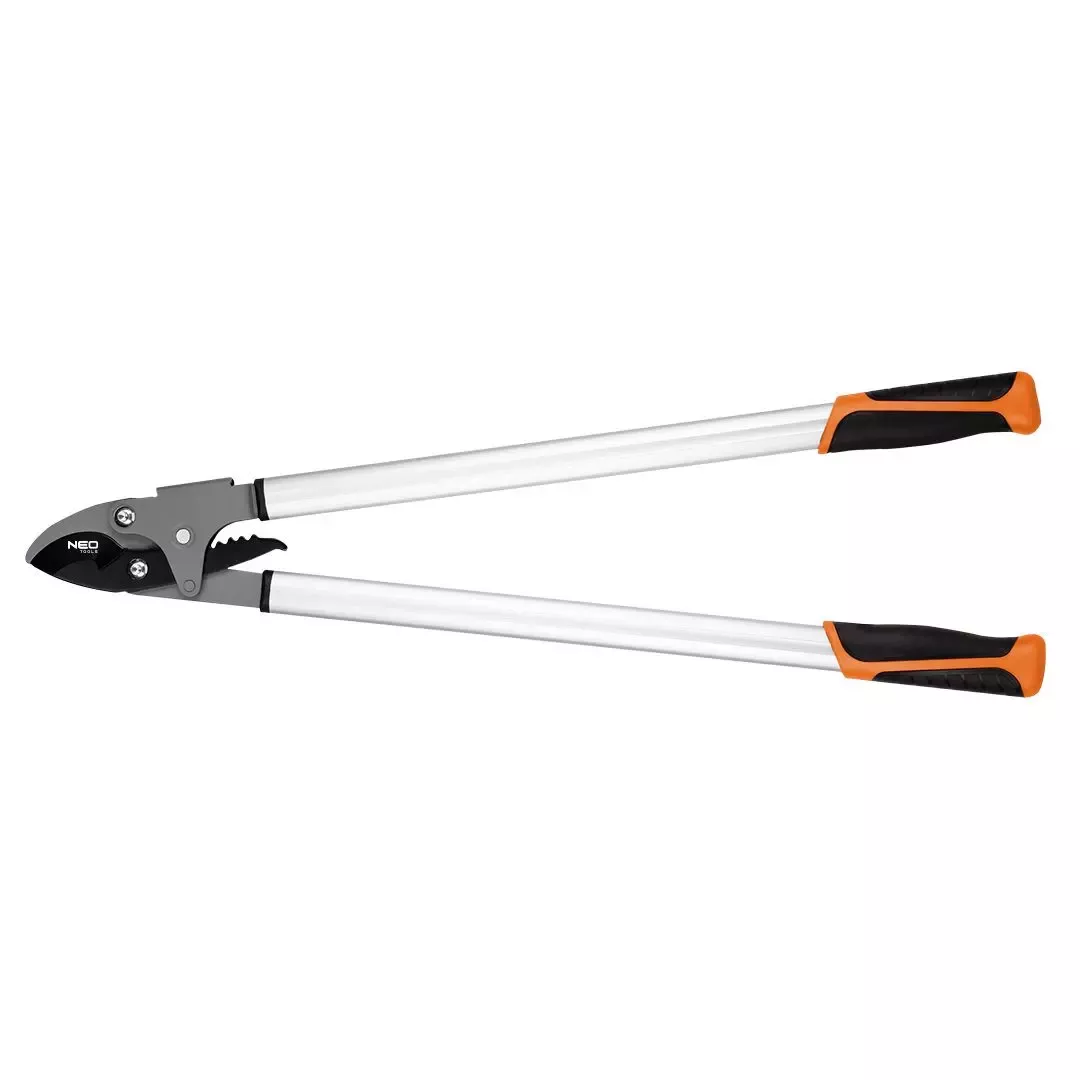 Leden na zahradě – jak pečovat o rostliny a připravit se na příchod jara?