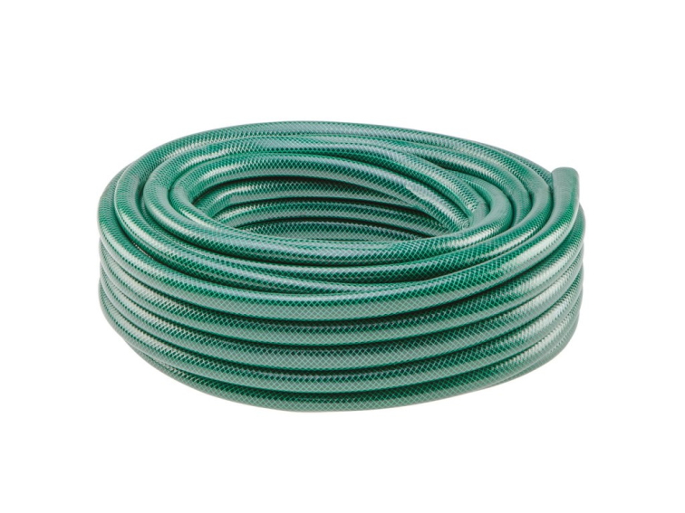 Jak správně sázet maliny a ostružiny krok za krokem