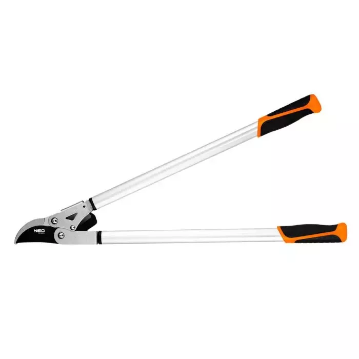 Jarní úklid na zahradě – jak připravit zahradu na jaro?