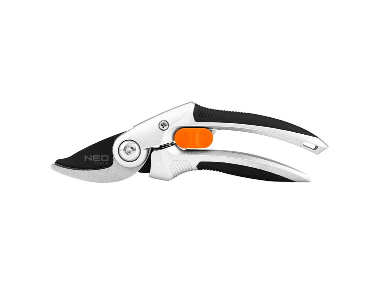 Postřik proti broukovi - ekologický nebo chemický? Co si vybrat a kdy použít?