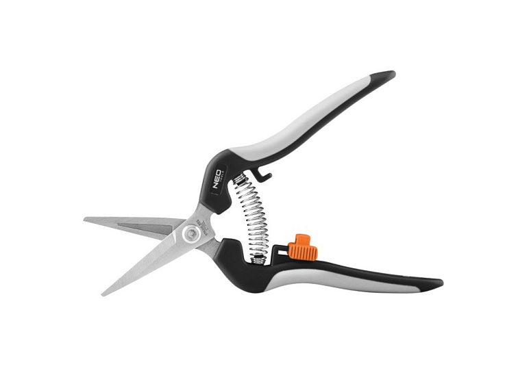 Výsadba ostružin - termín, pěstování, péče a požadavky