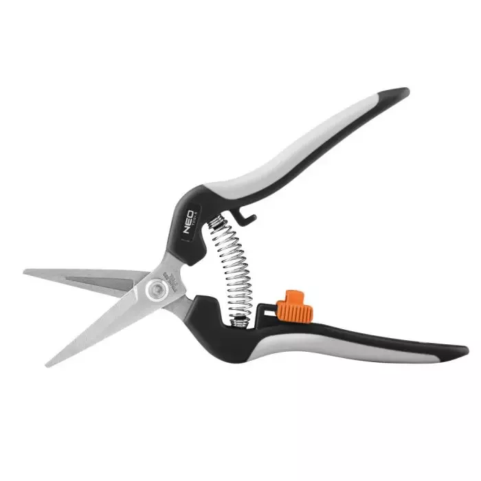 Osvědčené způsoby, jak si poradit se slimáky na zahradě