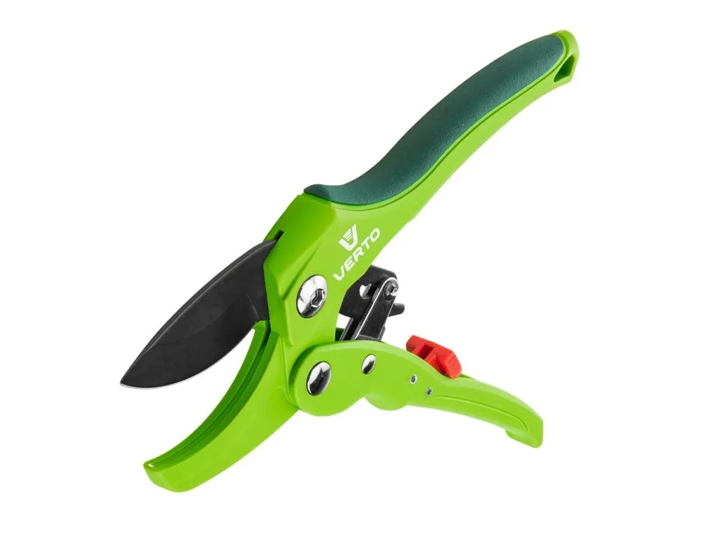 Rybíz, angrešt, borůvka: jak vybrat správný druh keře pro vaši zahradu