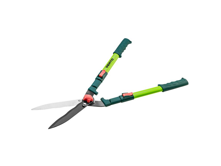 Výsadba broskvoní - termín, požadavky, péče