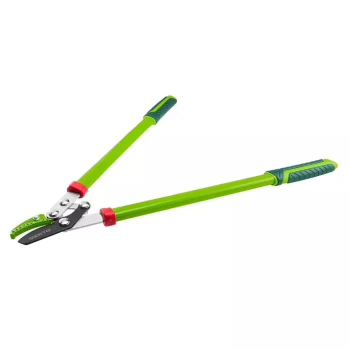 Jaký je nejlepší způsob pěstování levandule?