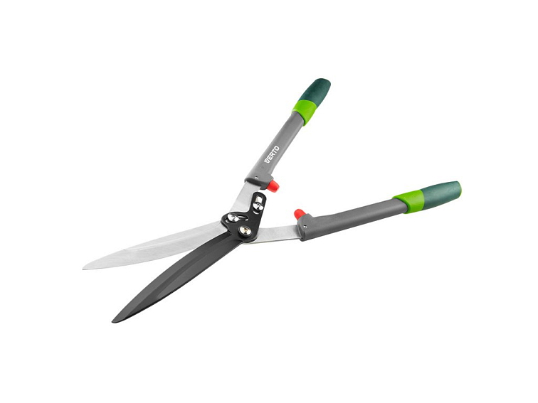 Kdy je nejlepší prořezávat růže?