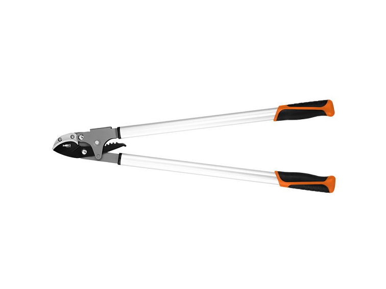 Výsadba ostružin - termín, pěstování, péče a požadavky