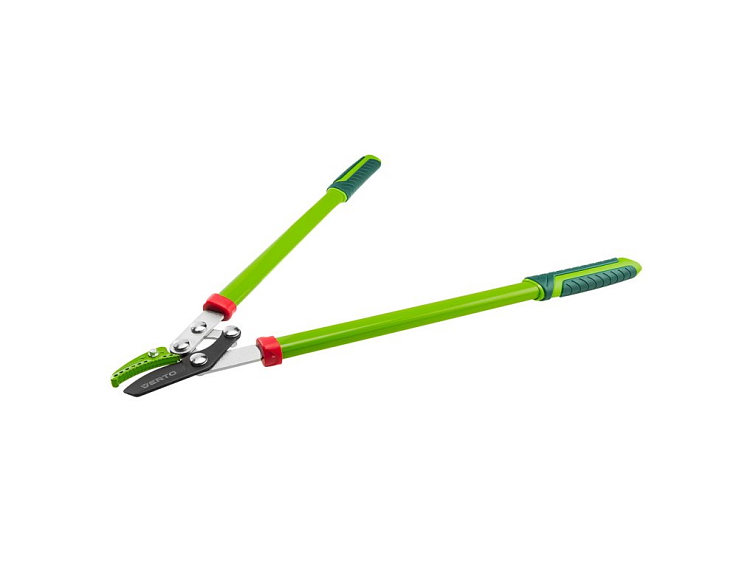 Výsadba ostružin - termín, pěstování, péče a požadavky