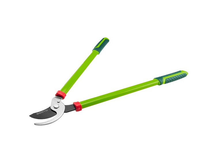 Leden na zahradě – jak pečovat o rostliny a připravit se na příchod jara?