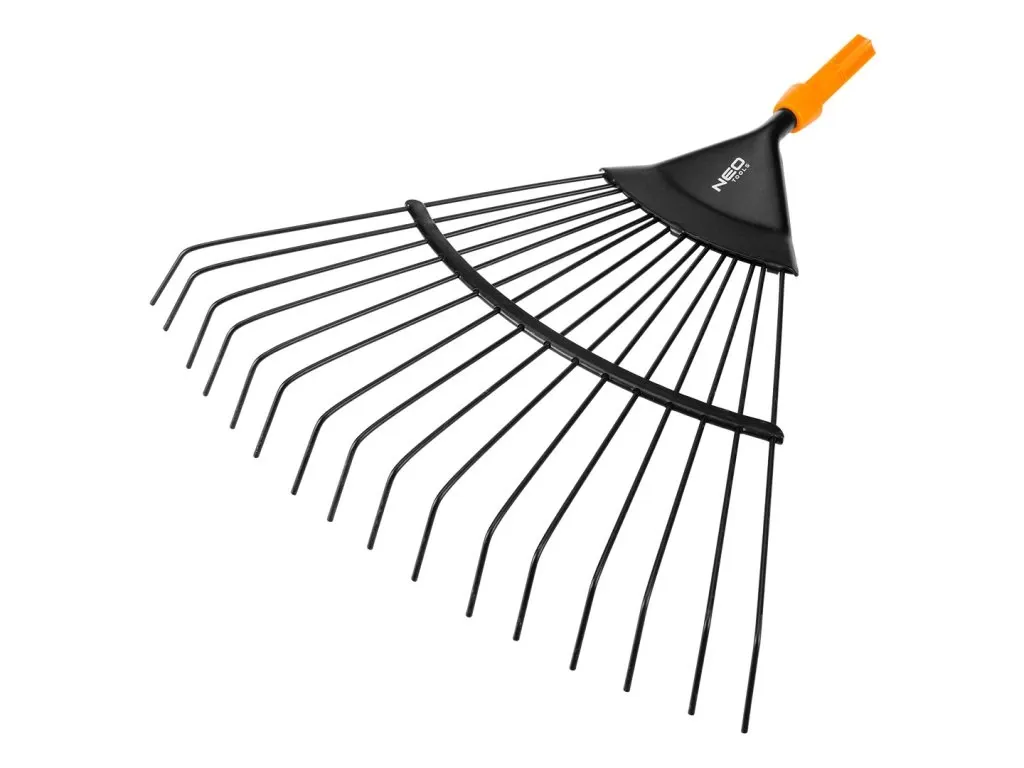 Přehled: nejvhodnější půda a stanoviště pro bobulové keře