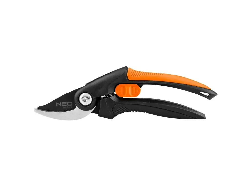 Kdy maliny zasadit a jak na to? Cenné tipy