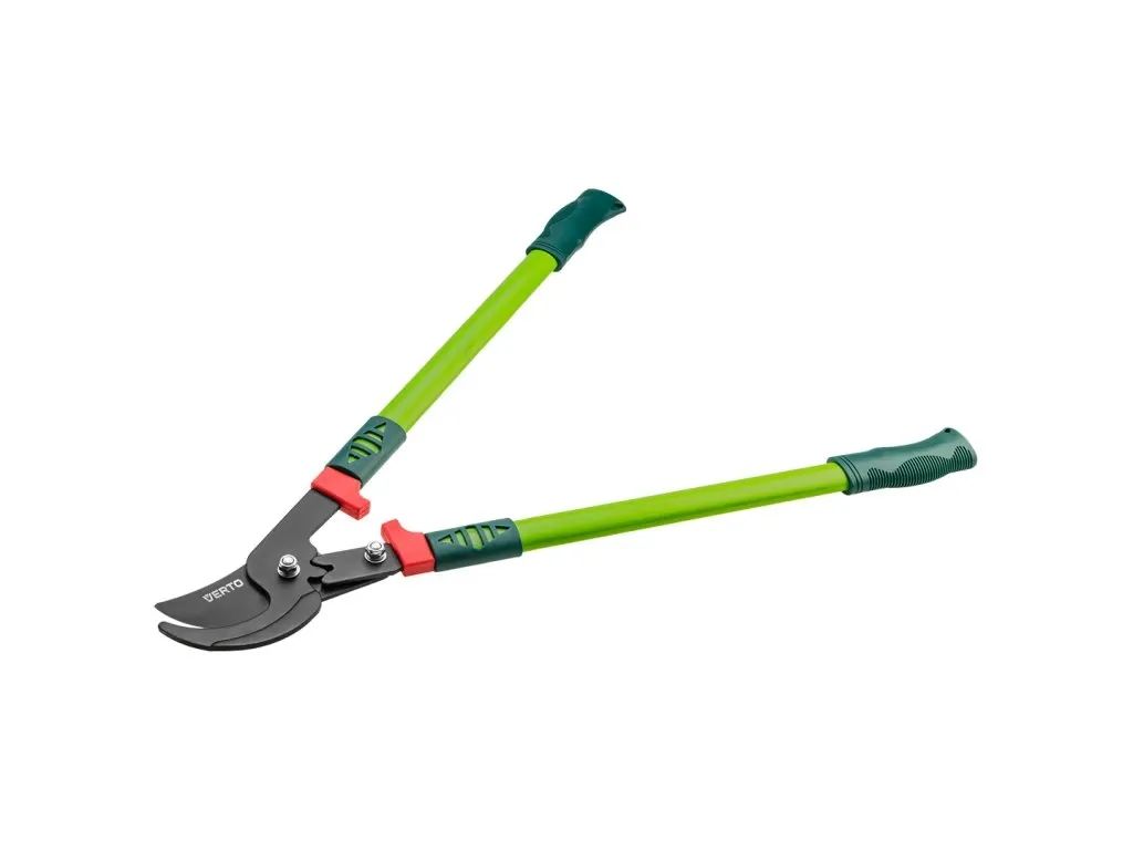 Jaký je nejlepší způsob, jak pěstovat šalvěj pýřitou?