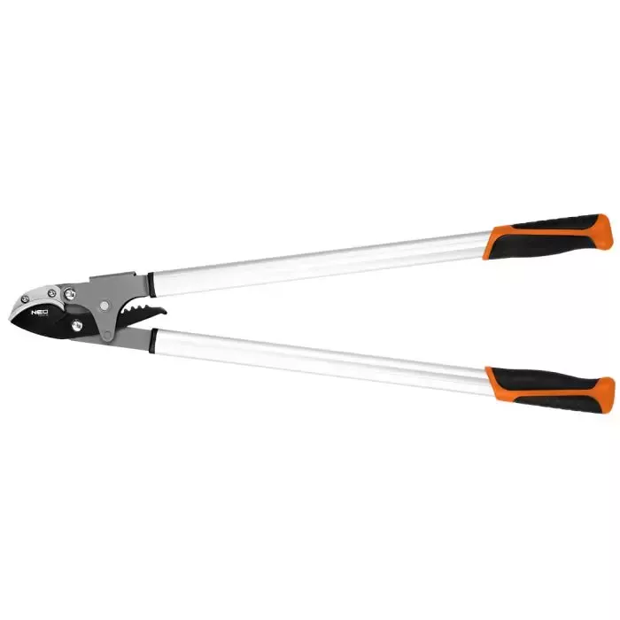 Kdy a jak prořezávat kanadskou borůvku?