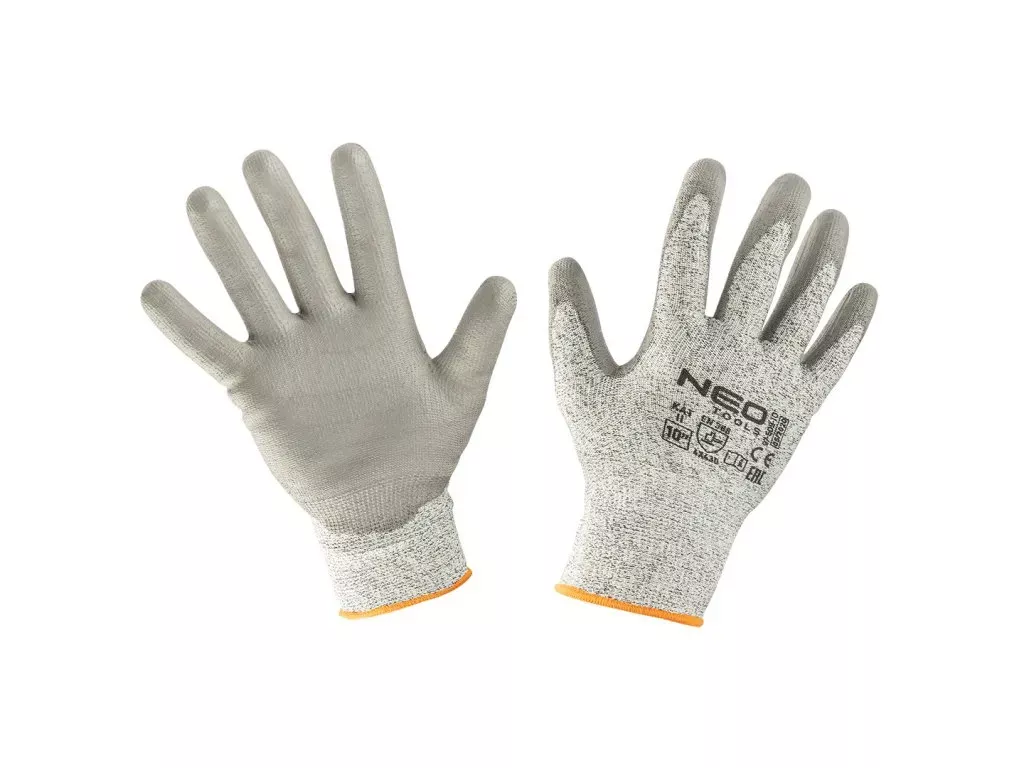 Begonie hlíznatá - pěstování a péče o begónie doma nebo na zahradě