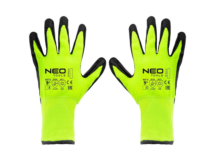 Jak a kdy zasadit třešeň?