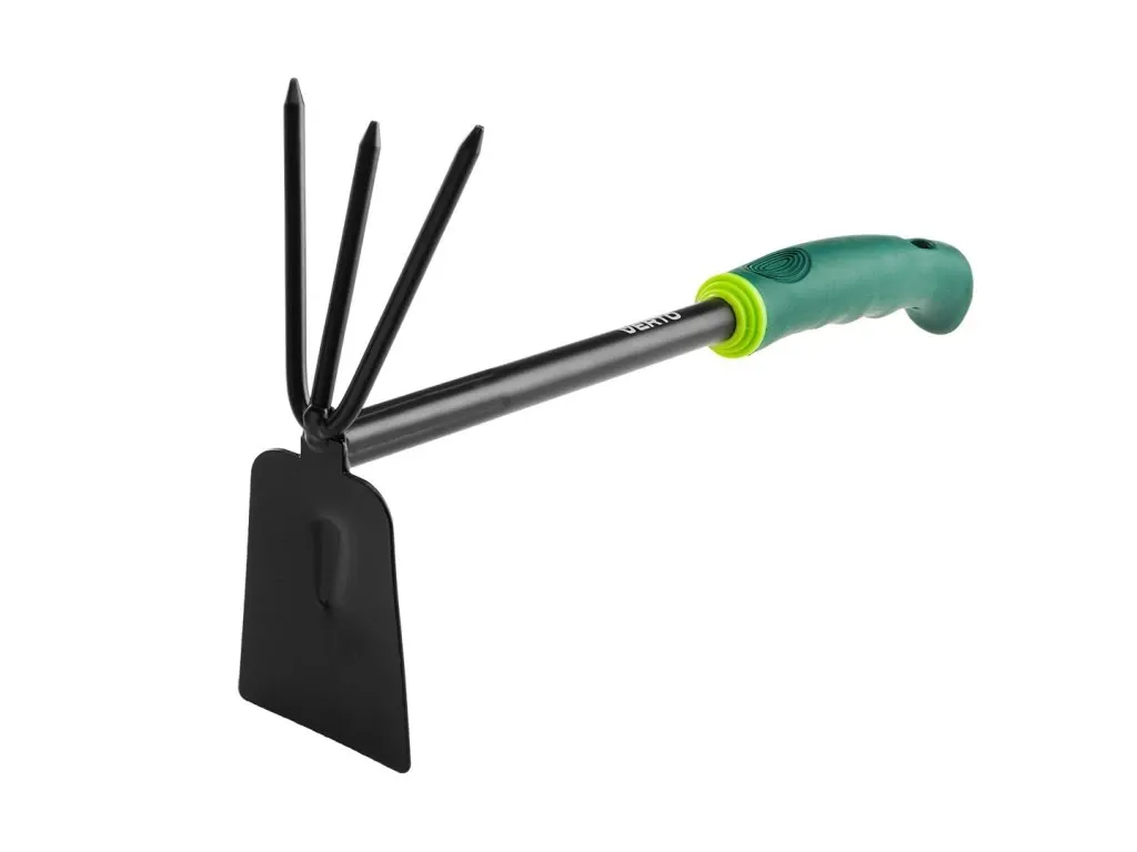 Slunečnice obecná - výsev, poloha, péče, požadavky