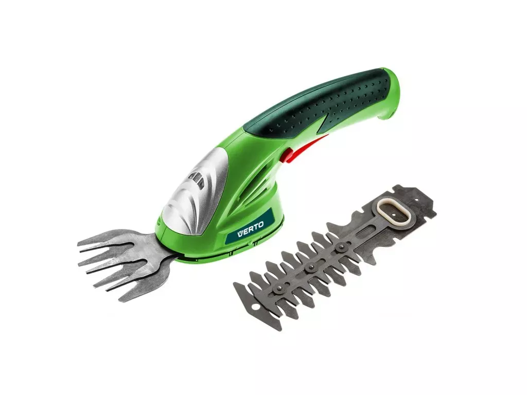 Jak chránit hortenzie na zimu? Průvodce pro začátečníky