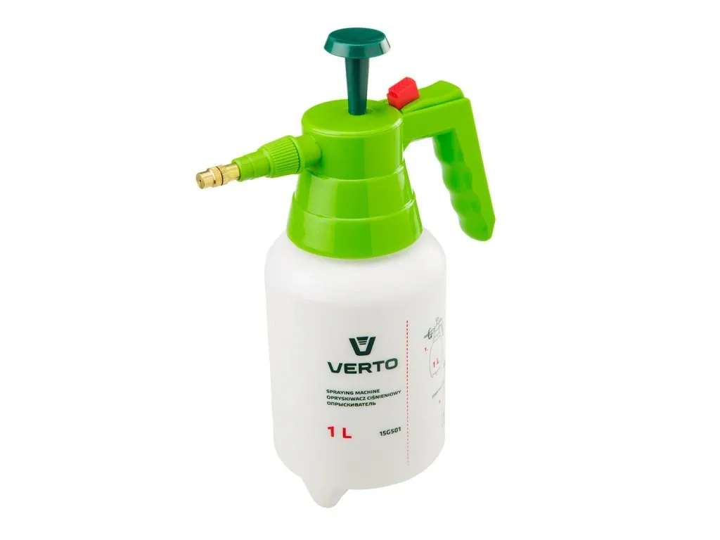 Levandule na zahradě - výsadba, pěstování, péče