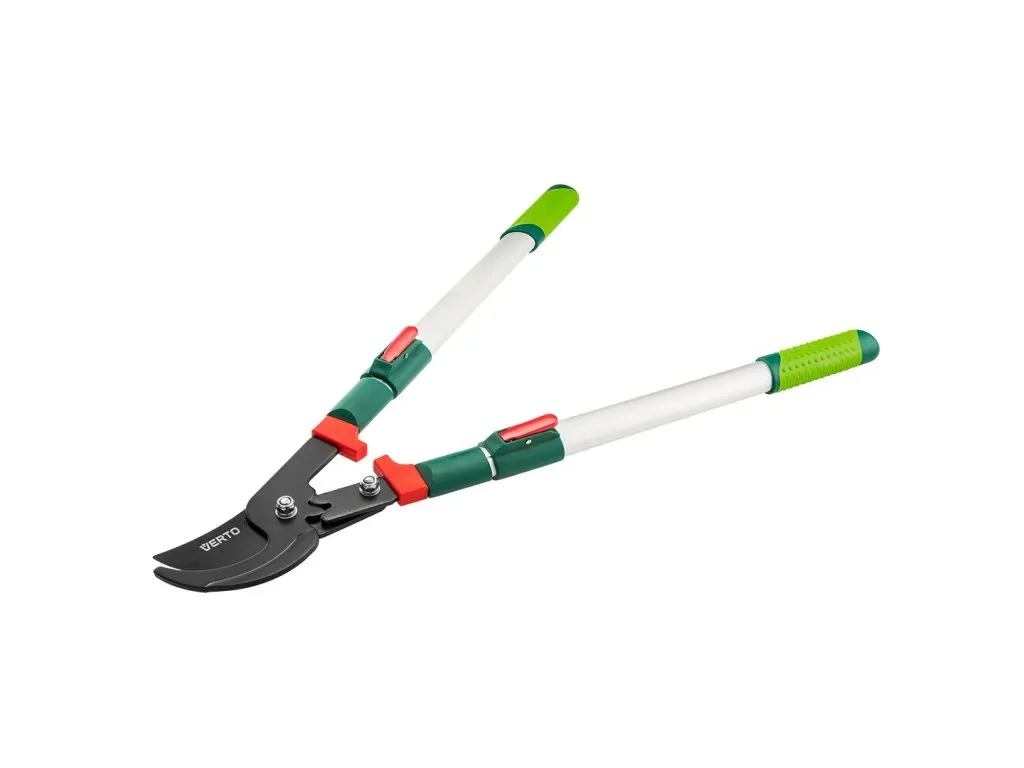 Jak a kdy prořezávat ovocné stromy a keře?