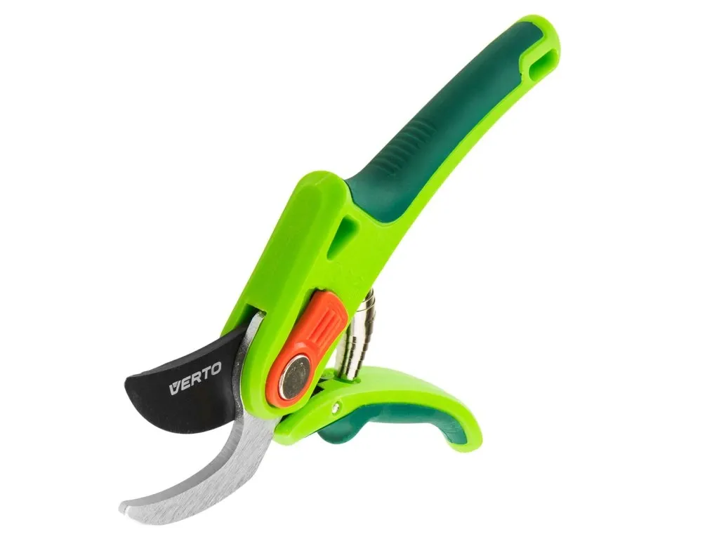 Postřik proti mšicím - přírodní i chemická ochrana proti škůdcům