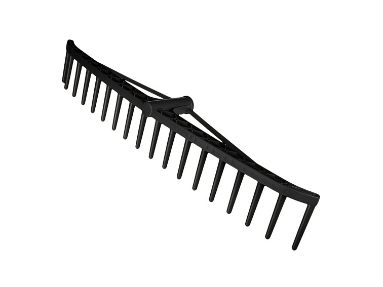 Šalvěj lesklá - pěstování, péče, odrůdy