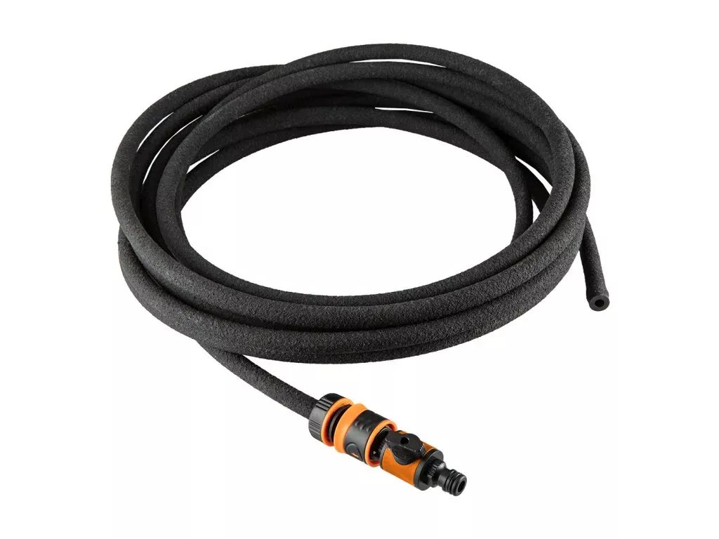 Canna v květináči a zahradě - jak pěstovat canna?